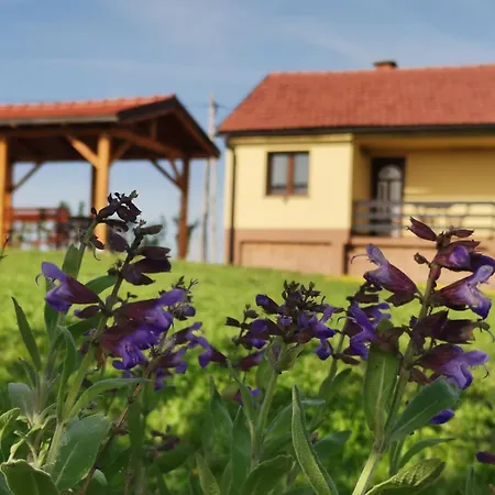 Pocitniska Hisa Pavlek Ivanjkovci