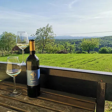 Casa vacanze Pocitniska Hisa Pavlek *