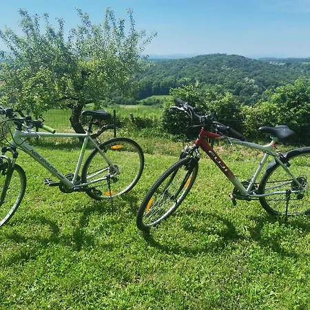 Casa vacanze Pocitniska Hisa Pavlek Ivanjkovci