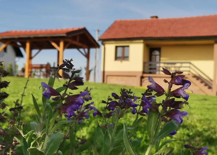 Pocitniska Hisa Pavlek Ivanjkovci