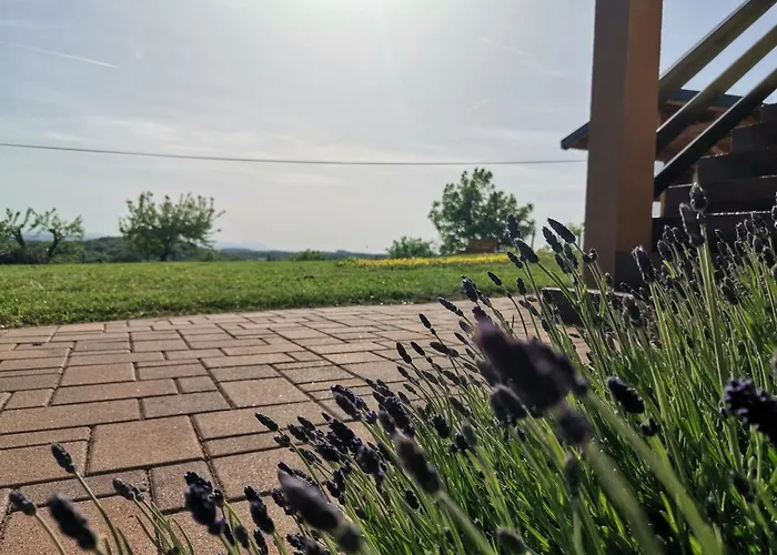 Pocitniska Hisa Pavlek Ivanjkovci